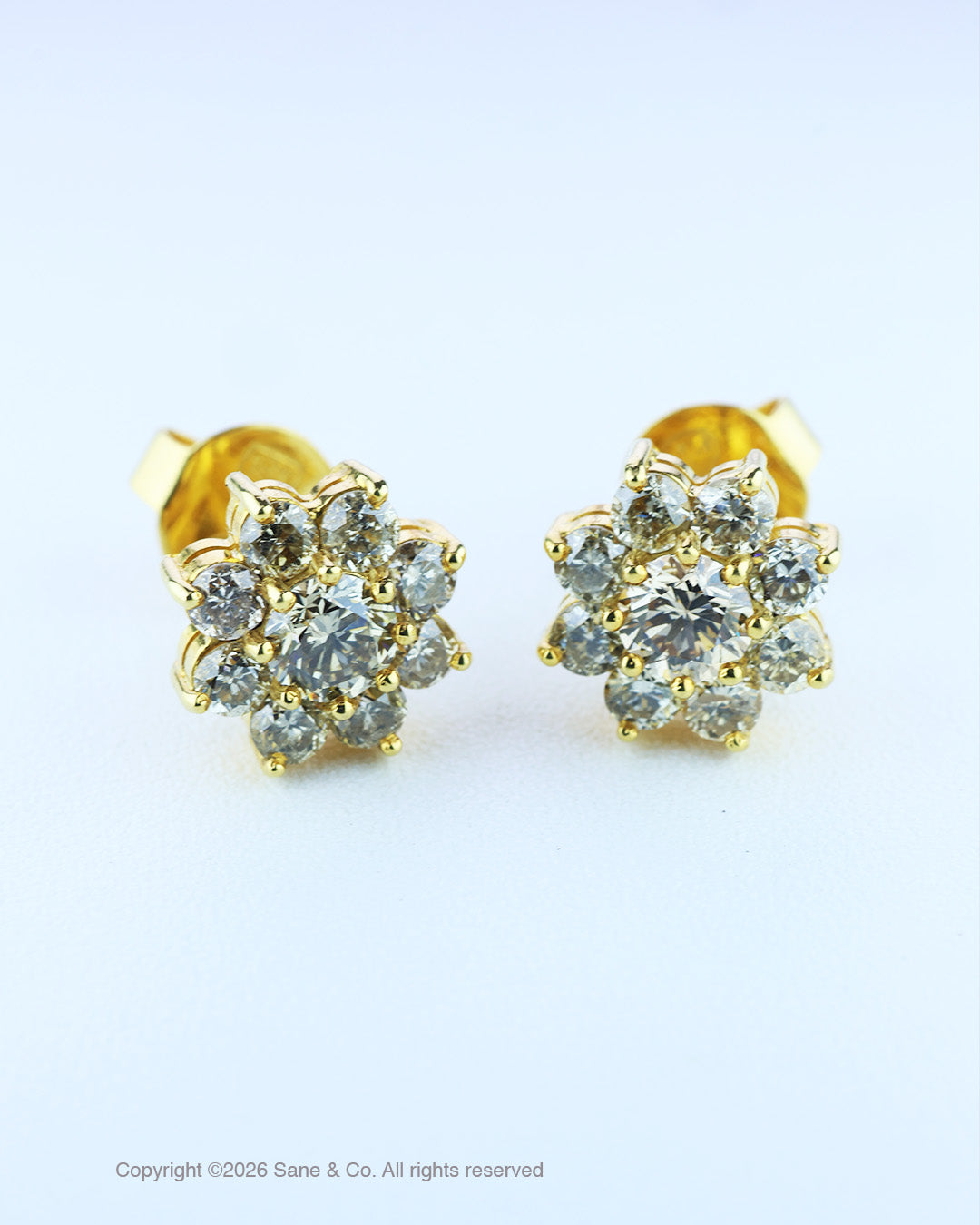 Natural brown diamond Rositas Earrings in 18k